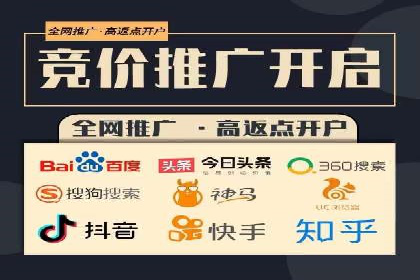 SEO策略在电商平台的成功应用案例